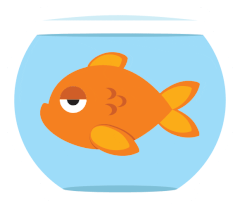fish gif